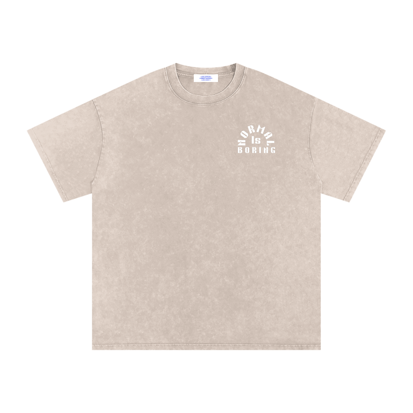 NORMAL IS BORING Snow Washed Oversized Cotton T-Shirt