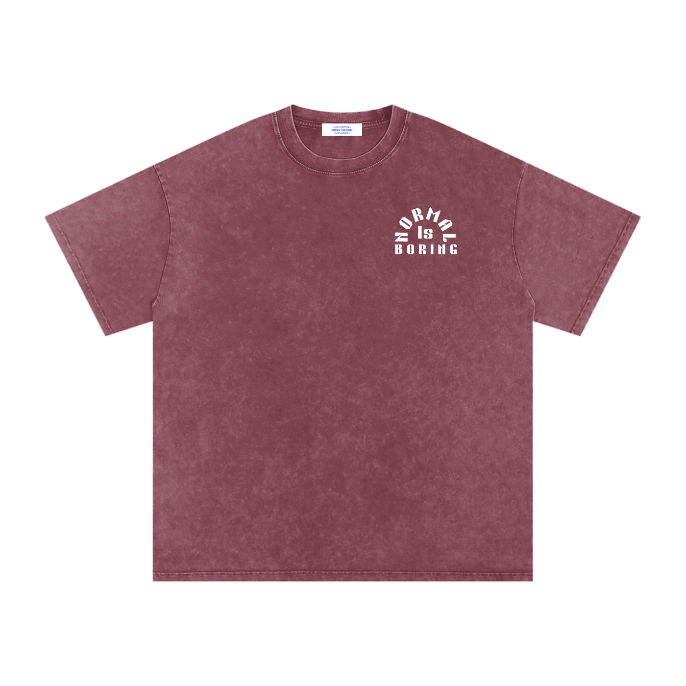 NORMAL IS BORING Snow Washed Oversized Cotton T-Shirt