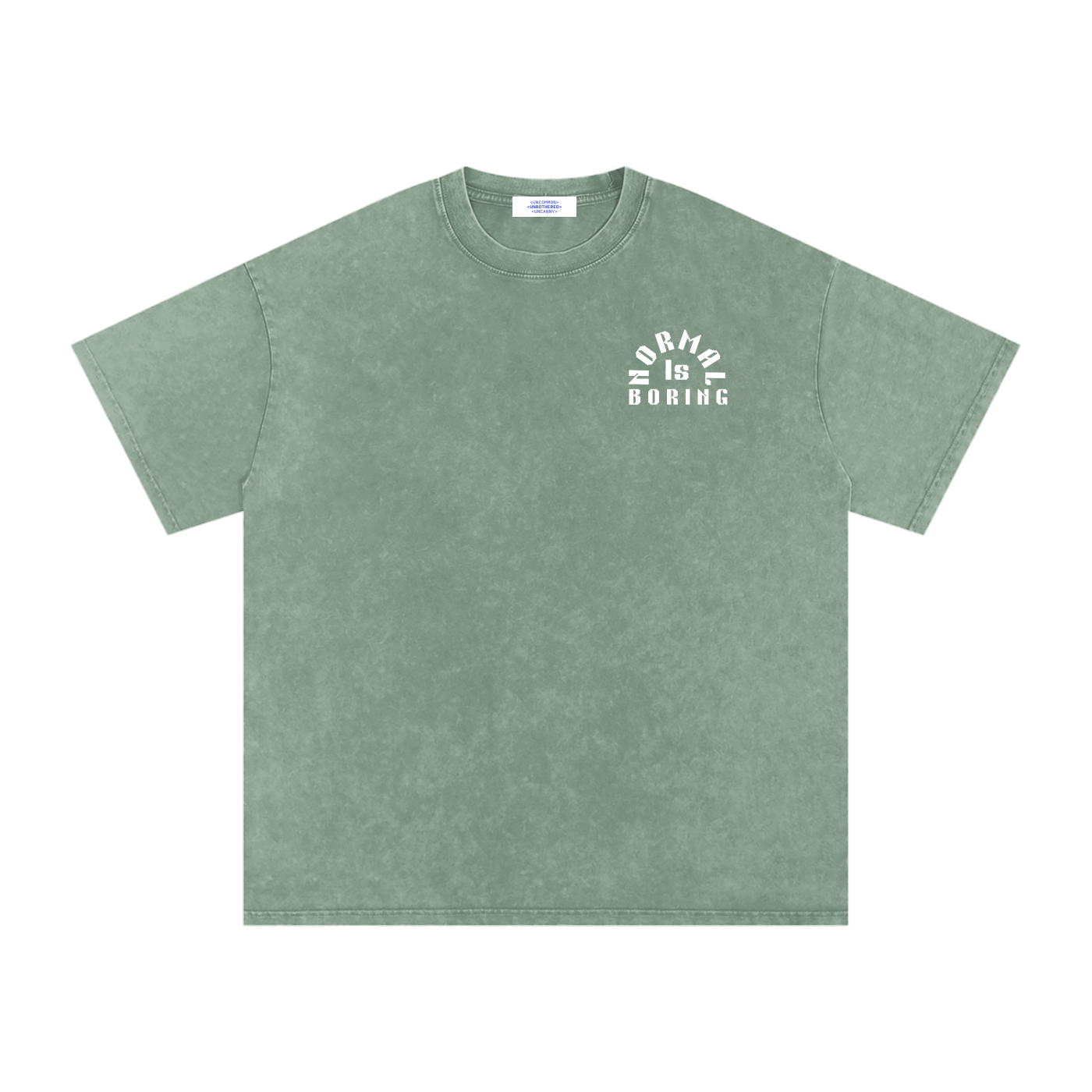 NORMAL IS BORING Snow Washed Oversized Cotton T-Shirt