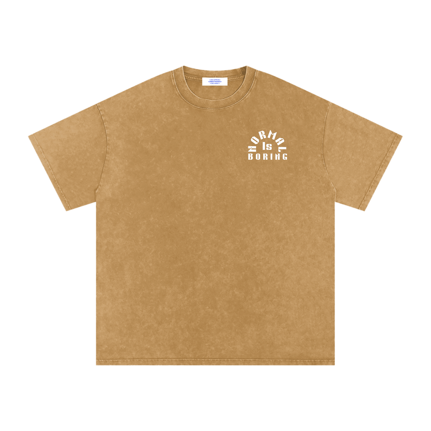NORMAL IS BORING Snow Washed Oversized Cotton T-Shirt