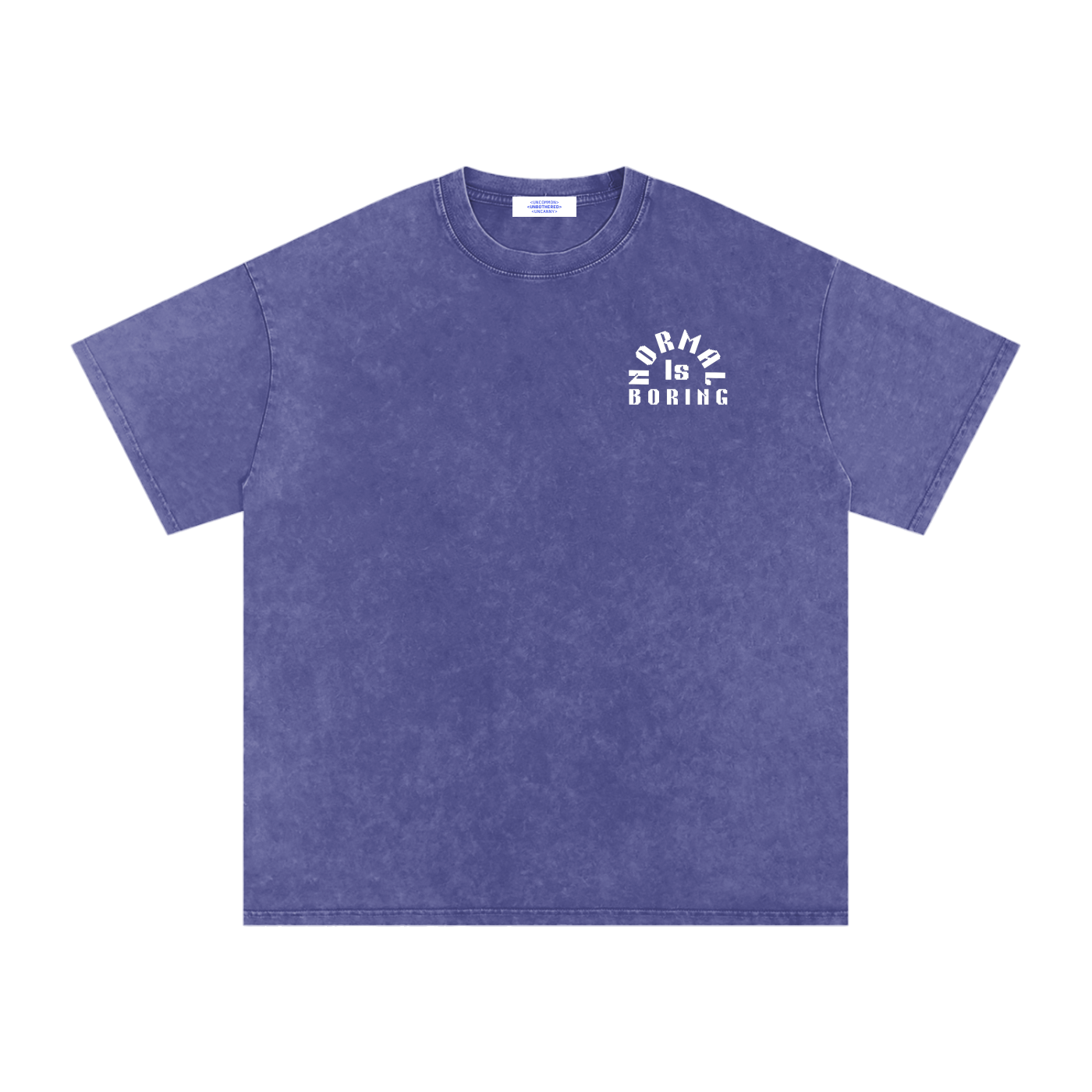 NORMAL IS BORING Snow Washed Oversized Cotton T-Shirt