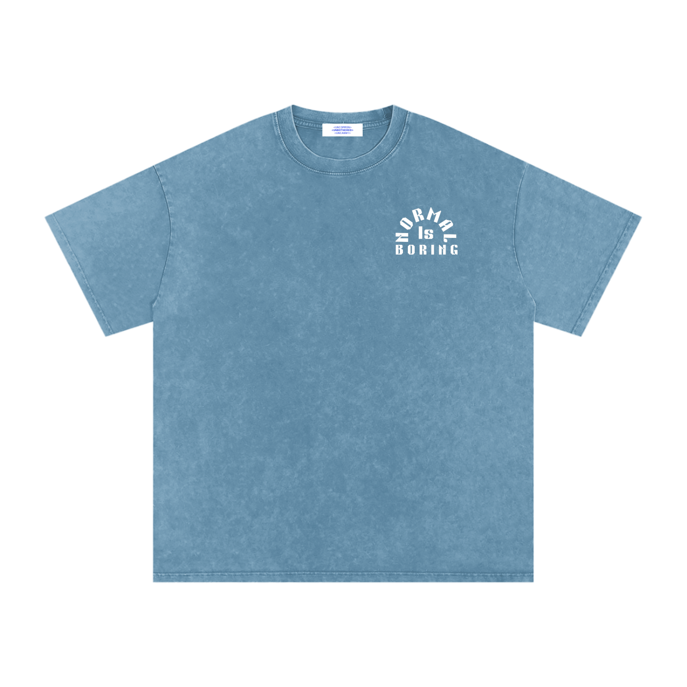 NORMAL IS BORING Snow Washed Oversized Cotton T-Shirt