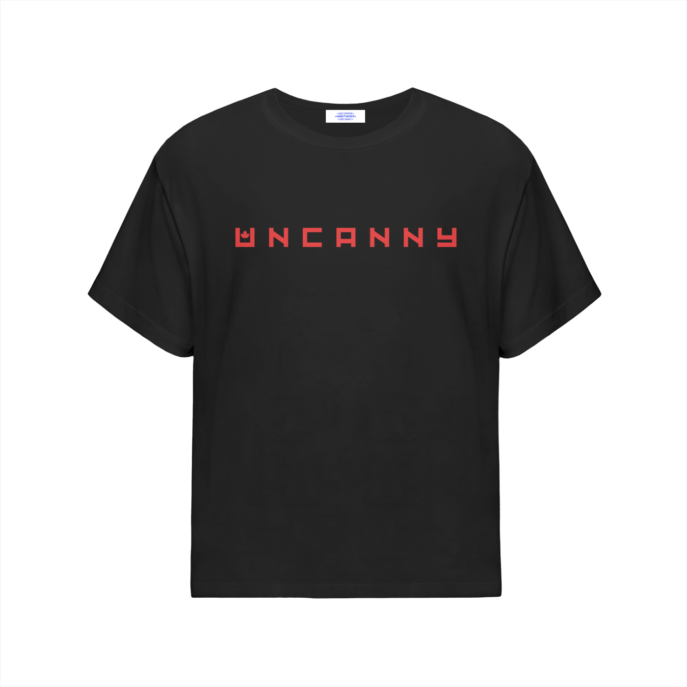 CELINE Oversized Cotton T-Shirt