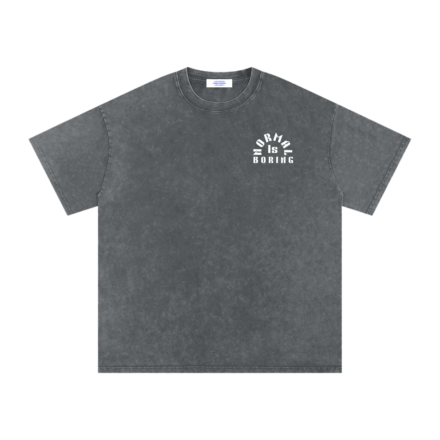 NORMAL IS BORING Snow Washed Oversized Cotton T-Shirt